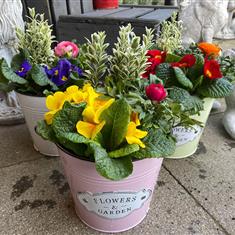 Mother&#39;s Day Planter (a)