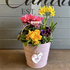 Mothers Day Planter (g) 