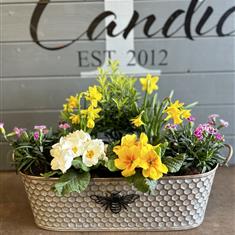 Mothers Day Planter (P) 