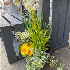 Mother&#39;s Day Planter (e)