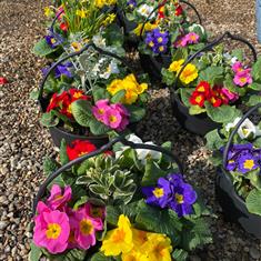 Mother&#39;s Day Planter (f)