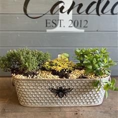 Mothers Day Planter (I) 
