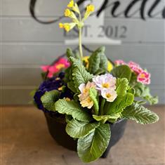 Mothers Day Planter (T) 