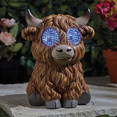 Blinkin' Highland Cow